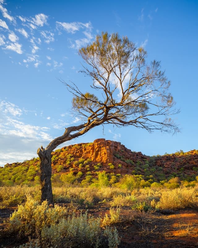 A picture of outback Australia