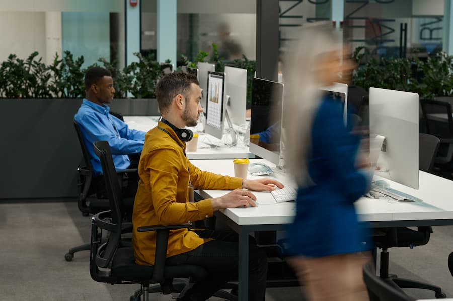 Two male employees works on computer in IT office