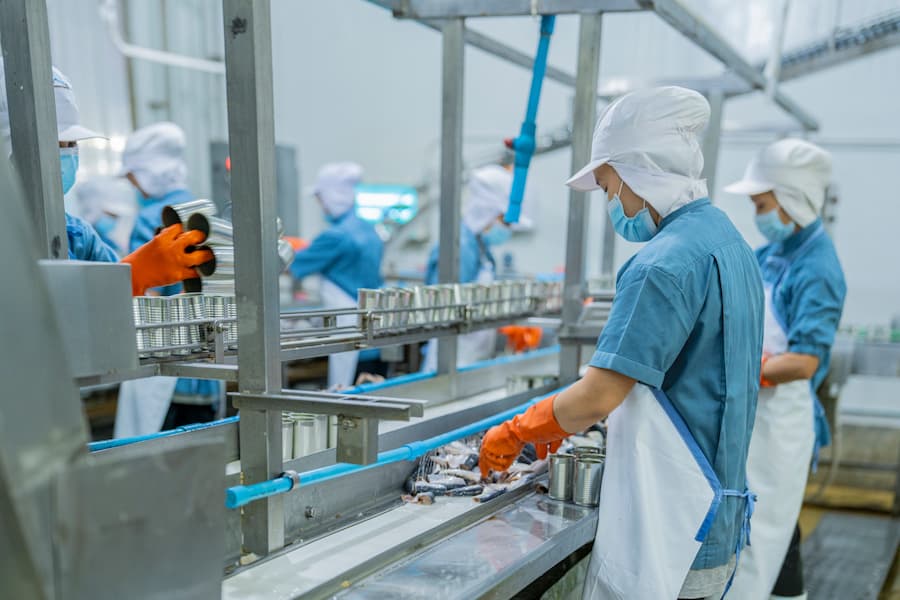 Factory worker in hygienic gear inspecting cans on a production line