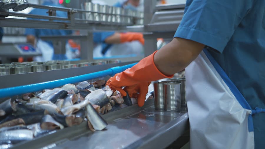 Process and production line in canned fish factory